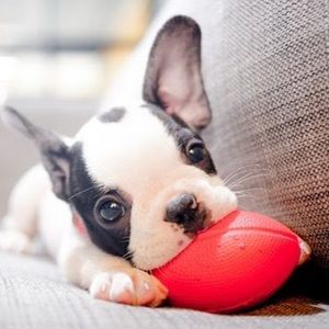 Meet your Posher, Tori